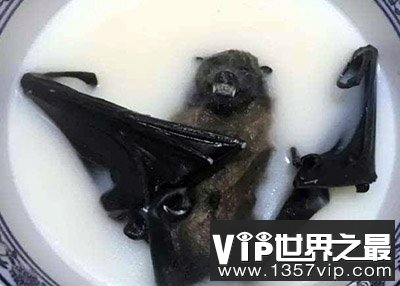 世界10大最恐怖食物，名字就令人毛骨悚然的“美食”
