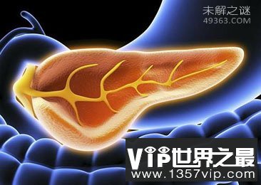 人体自救九大奇招