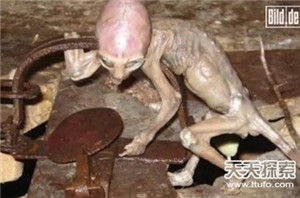 俄罗斯惊现球状闪电 疑似发光UFO