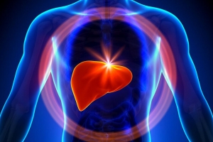 肝脏为什么是人体最大的解毒器官