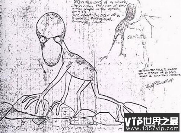 美国拍到神秘怪物视频疑似大脚怪