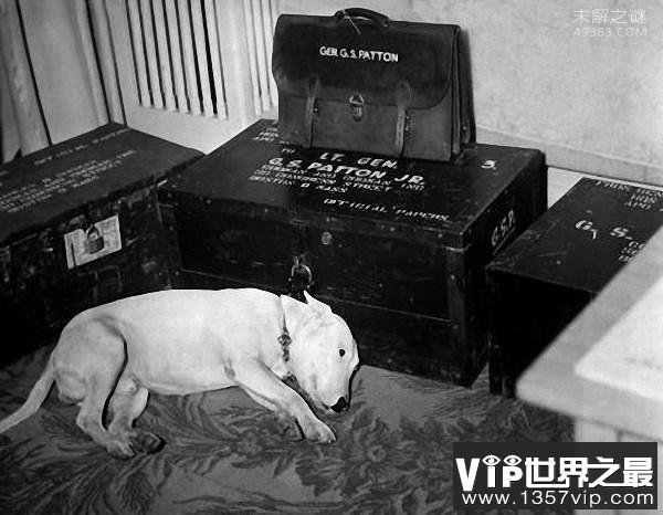 历史老照片——希特勒当伴郎，月球上的人类照片