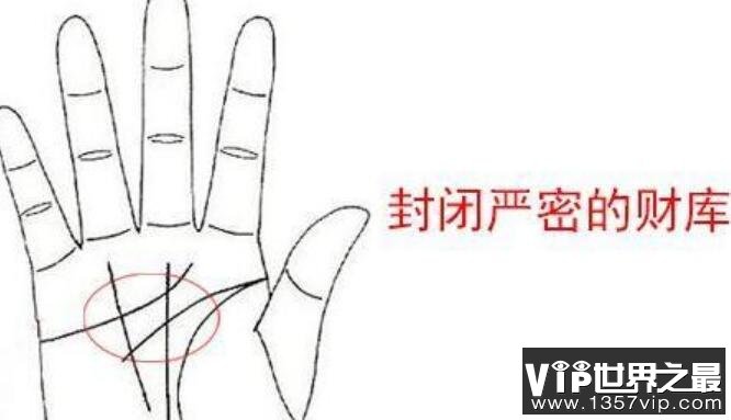 非常难得的十大吉祥手相图解，男女有这些手相都会行大运