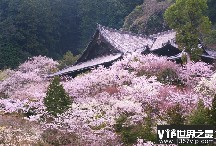 全球十大强国排行榜 美国霸占榜首，印度仅次于德国