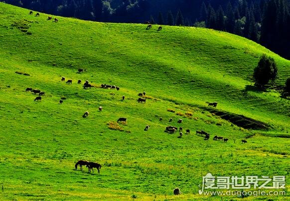 中国十大艾滋病城市，云南四川等地患病人数远高于其它地区
