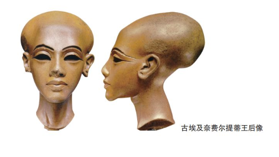 长头骨人的头骨是怎样生长?头顶骨有凸起的人命相