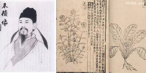 救荒本草是哪个朝代的，《救荒本草》作品影响