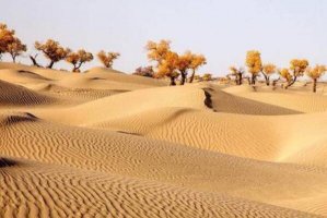 中国八大沙漠排名 腾格里沙漠上榜，第一面积达33万平方公里