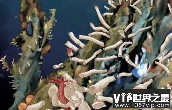 世界上最不怕热的动物，把火山当作是游泳池