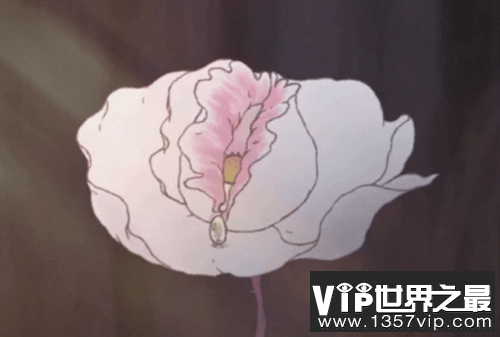 女生私处不对称会影响性体验吗