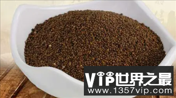 菟丝子图片 菟丝子是什么怎么读