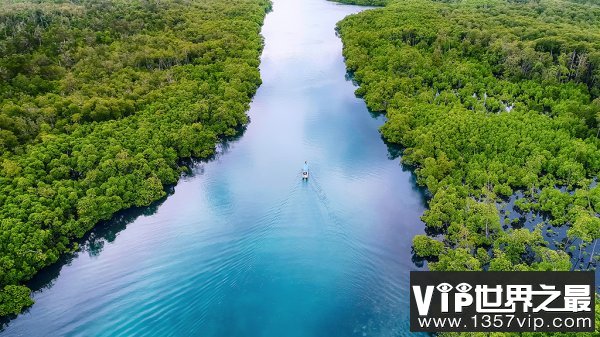 世界上流量最大的河：亚马逊河流量占全球20%