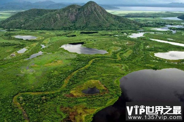 世界上最大的湿地：潘塔纳尔湿地面积24万平方公里