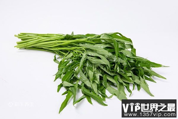 空心菜的功效与禁忌 吃空心菜的好处及注意事项