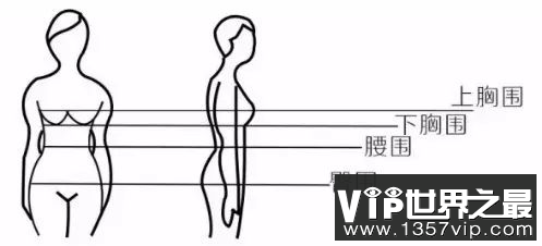 如何区分ABCD等罩杯