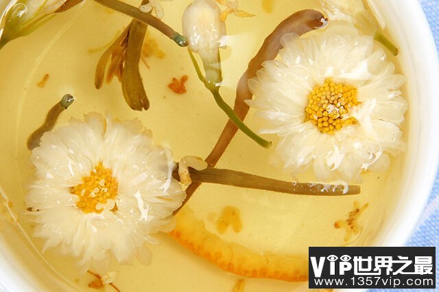 菊花的产地是哪里最好？我国十大优质菊花产地