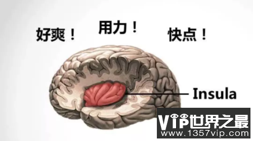 如何在床上说脏话？听听她们怎么说