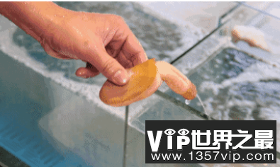 冬天男人蛋蛋为什么会变小