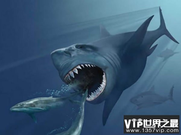 世界十大恐怖海怪——巨齿鲨