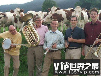 听音乐可以使乳牛产奶更多吗