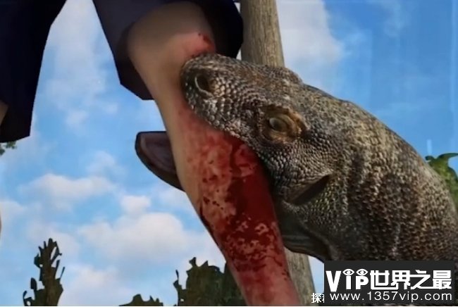 世界上最大最毒的蜥蜴 科莫多巨蜥(体型巨大)