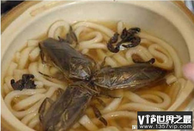 世界上十大最恶心的食物 蟑螂汤是比较美味 (难以下咽)