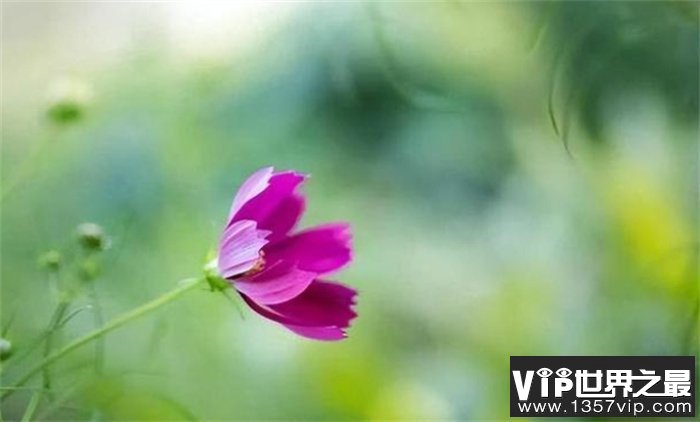 想了解一个人的财运 看他的外貌就能知晓（财运之相）