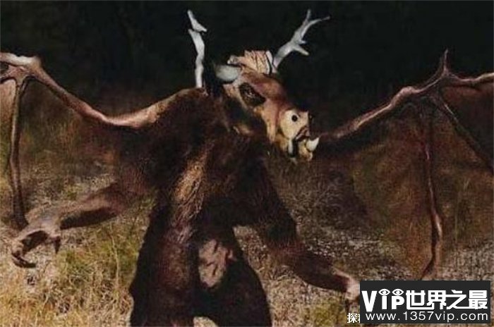 世界上十大未知生物死虫子让人毛骨悚然(形状奇怪)