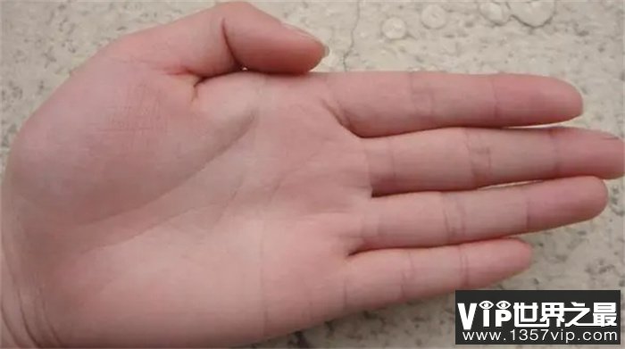 什么样的手相天生不缺钱 还能日子丰润