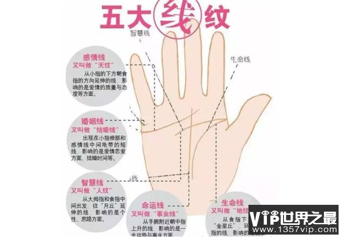 手相图解大全之女人右手手相
