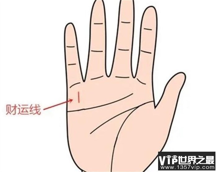 具备这些手纹的男人更容易赚钱！