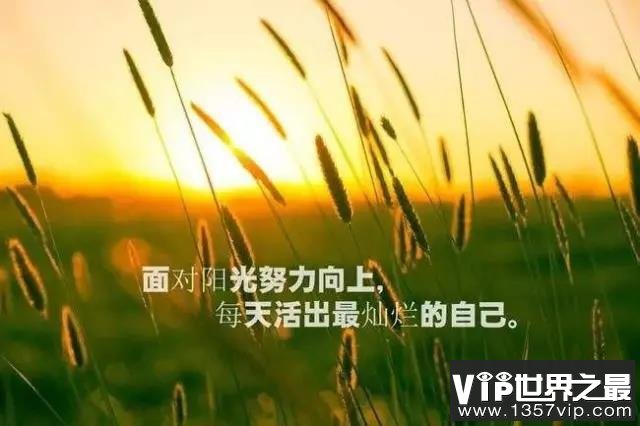 人生感悟正能量短句