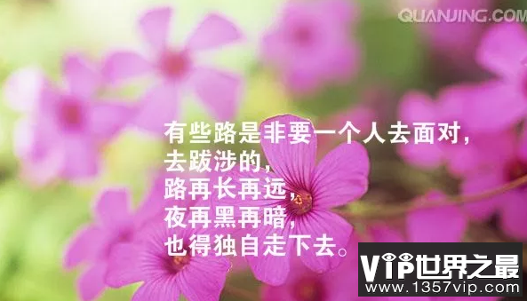 人生感悟的句子简短的 句句精辟现实
