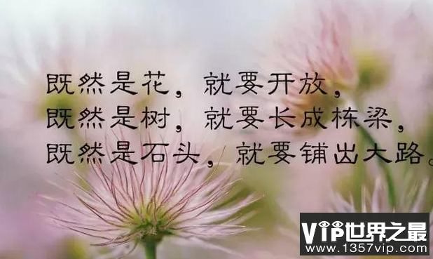 很经典朋友圈人生感悟