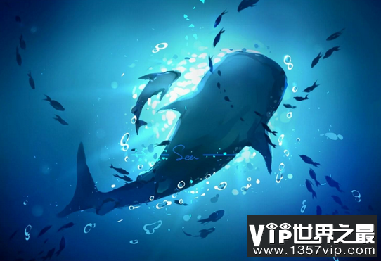 世界上最大的动物是啥_叫什么名字