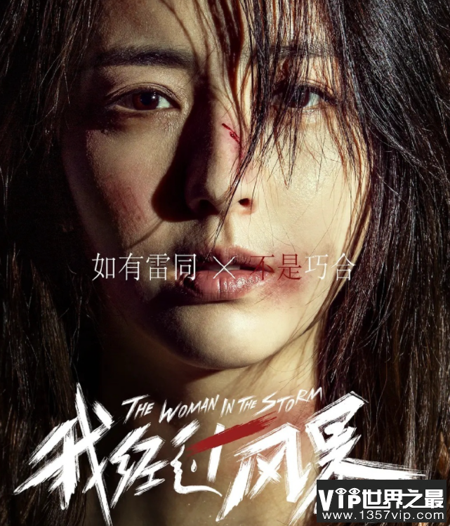 《我经过风暴》影评观后感 《我经过风暴》好不好看