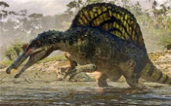 十大肉食恐龙排名 食肉恐龙的种类有哪些