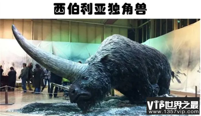 现代科学家打算运用技术复活的5大灭绝动物