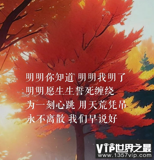 周深新歌《明明》歌词是什么 《明明》歌曲信息介绍