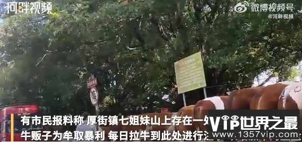 如何看待注水牛肉流入广东多地 牛肉注水会怎么样