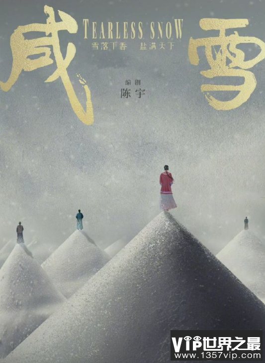 《咸雪》影视化备案 《咸雪》剧情梗概