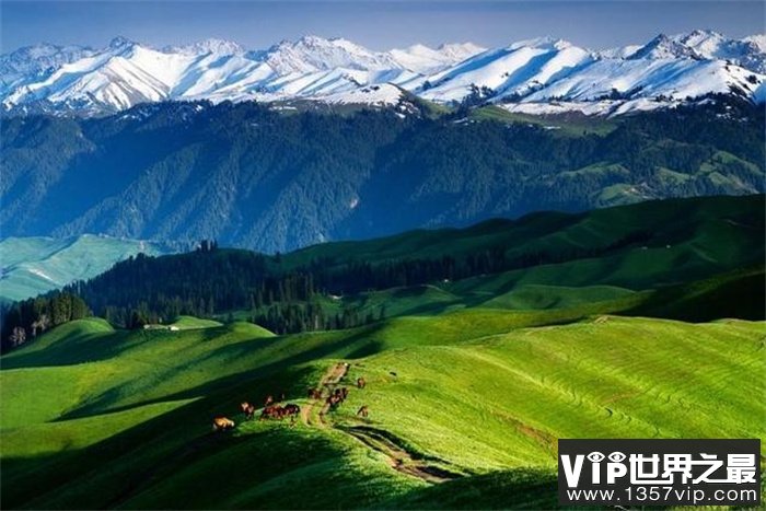 世界七大山系 天山为何排在第一