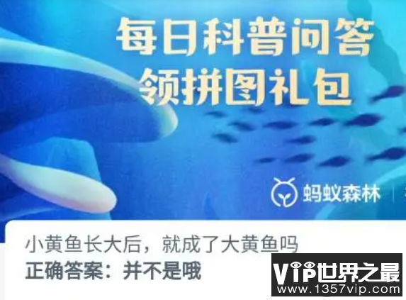 小黄鱼长大后就成了大黄鱼吗 神奇海洋10月1日答案
