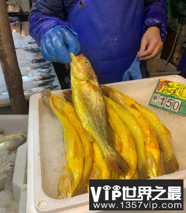 小黄鱼长大后就成了大黄鱼吗 神奇海洋10月1日答案