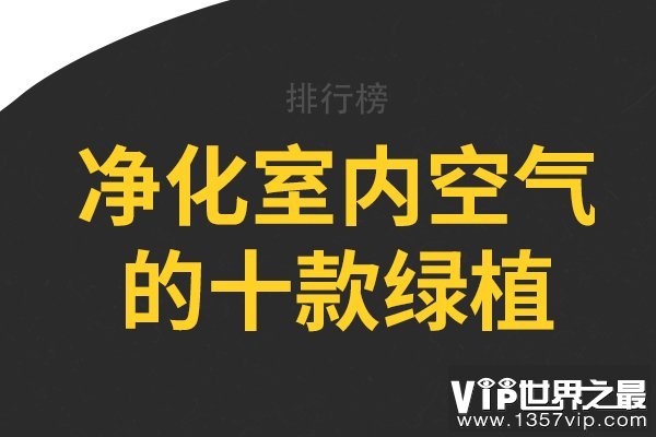 净化室内空气的十款绿植，龟背竹上榜，第五被称为“空气卫士”