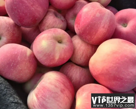 国庆出游去采摘更有可能采摘到哪种时令水果 蚂蚁庄园10月1日答案