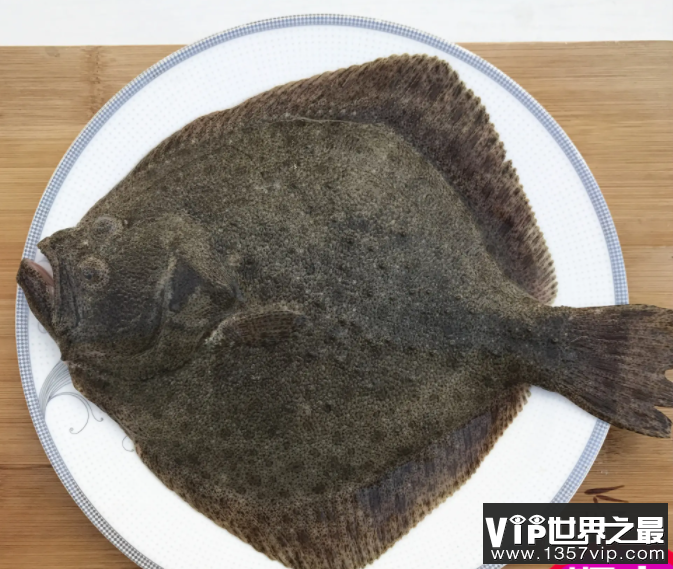 生活中常见的多宝鱼是海鱼还是淡水鱼 神奇海洋10月9日答案