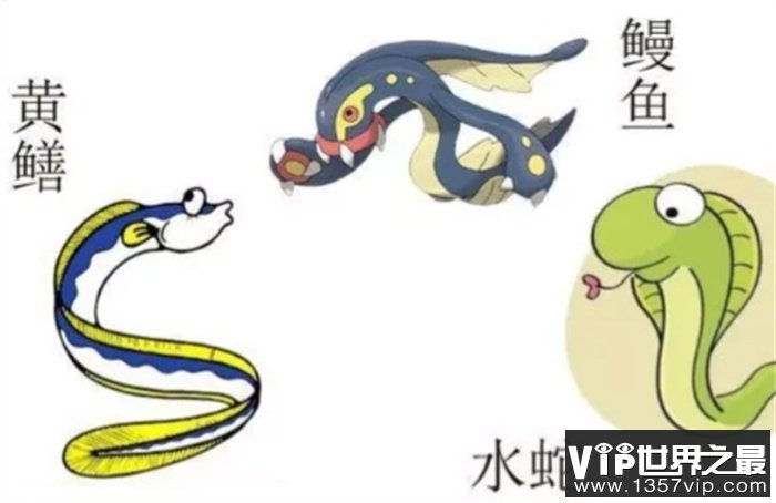 黄鳝有什么本事，为什么有人说蛇害怕黄鳝？黄鳝真是蛇的天敌吗？