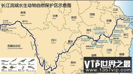 中国最长的河流，长江(哺育中国的长龙)