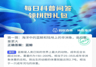 海洋中的蓝鲸和陆地上的非洲象谁的重量更大 神奇海洋10月20日答案